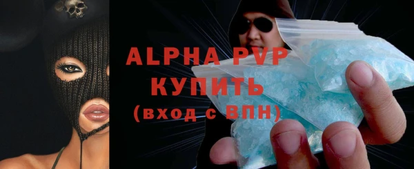 ПСИЛОЦИБИНОВЫЕ ГРИБЫ Богданович