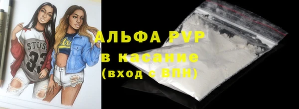 ПСИЛОЦИБИНОВЫЕ ГРИБЫ Богданович