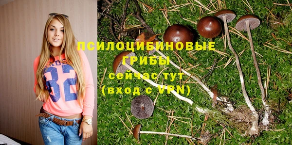 MDMA Богородицк