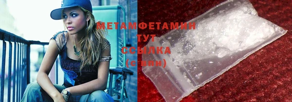 ПСИЛОЦИБИНОВЫЕ ГРИБЫ Богданович