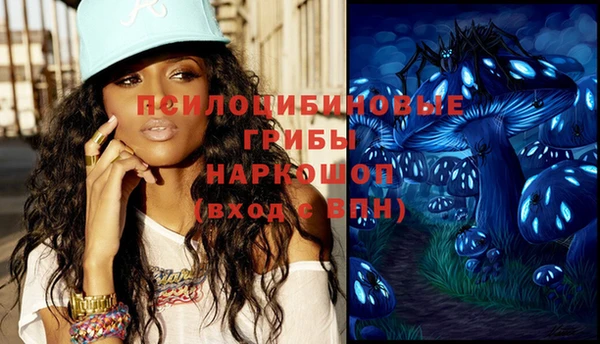 дживик Бородино