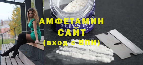 дживик Бородино