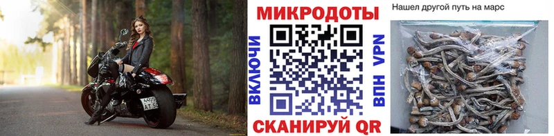 Псилоцибиновые грибы Magic Shrooms  площадка состав  Пенза  закладки 